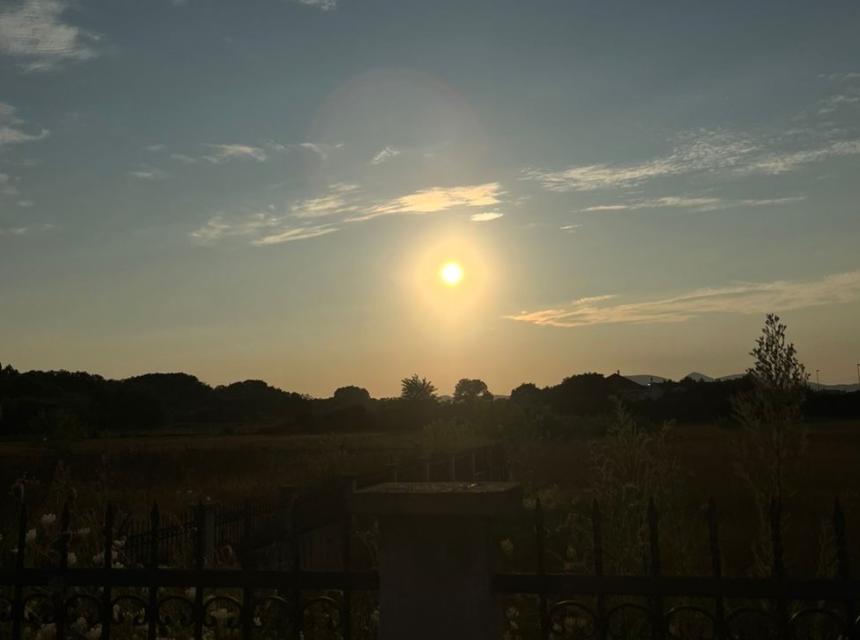 sunce