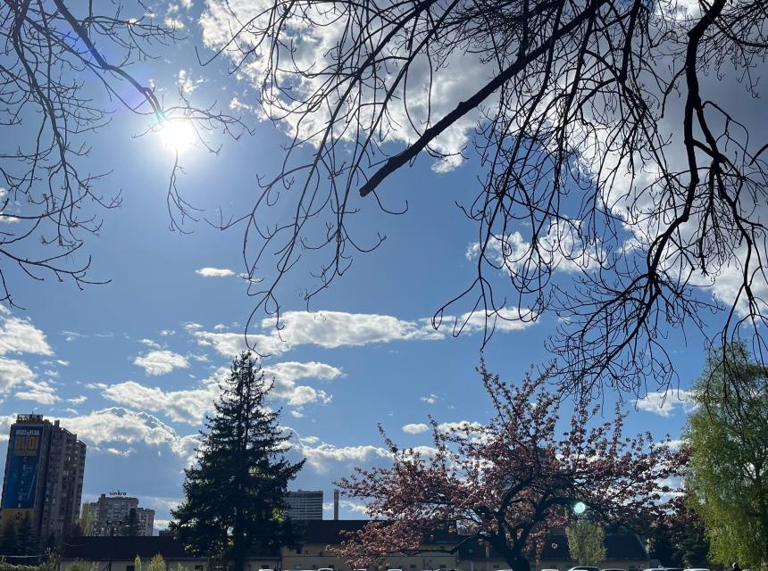 sunce