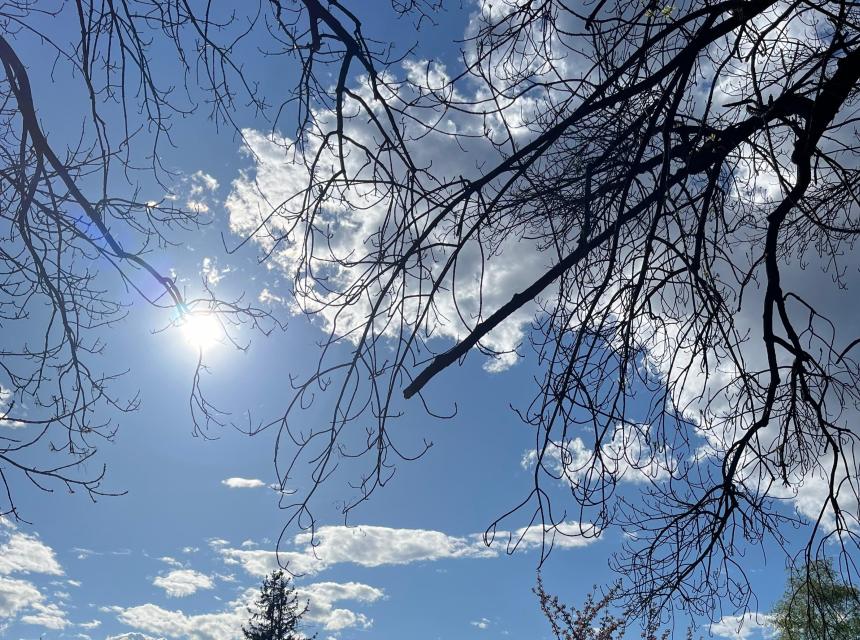 sunce