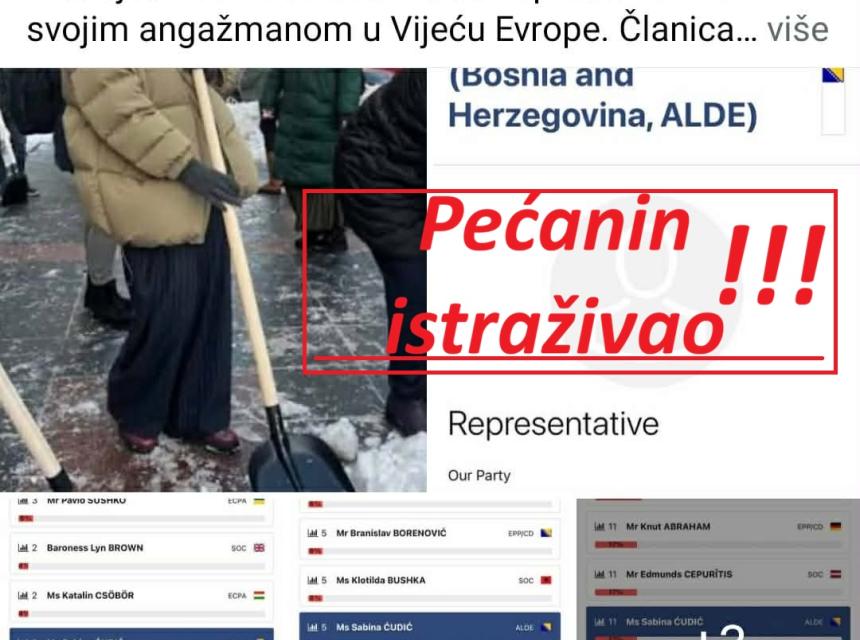 Pećanin - Čudić