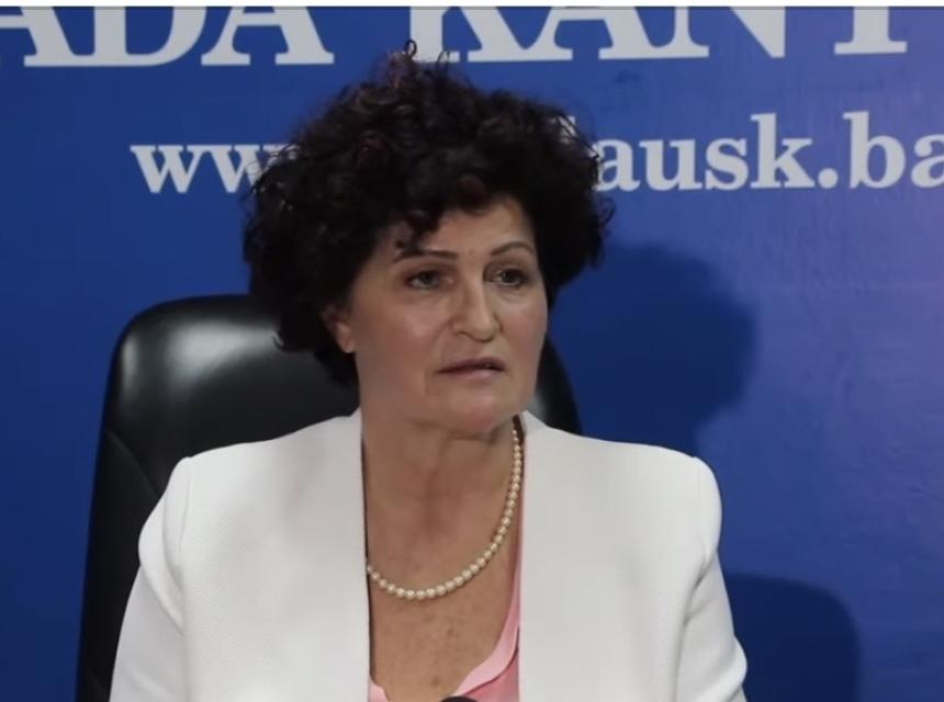 nermina cemalovic screenshot vlada usk