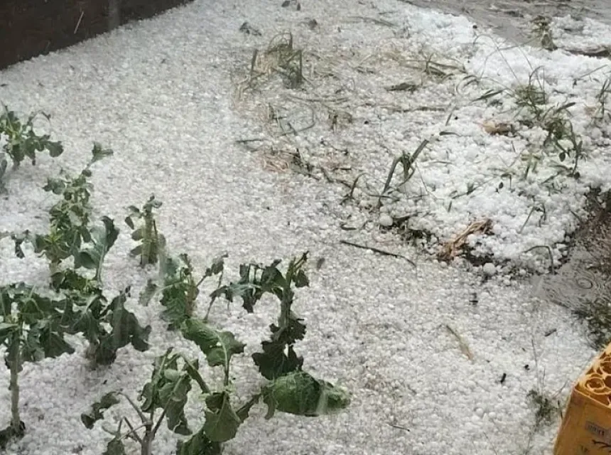 Bh meteo