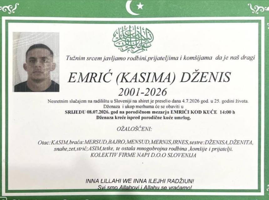 Dzenis