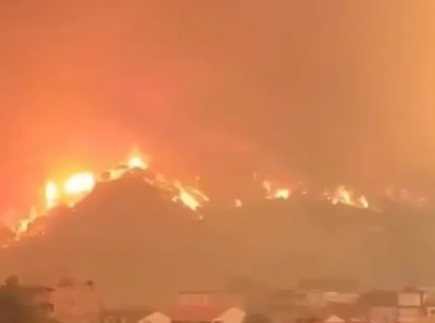 Alzir