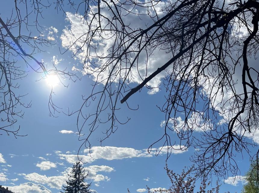 sunce