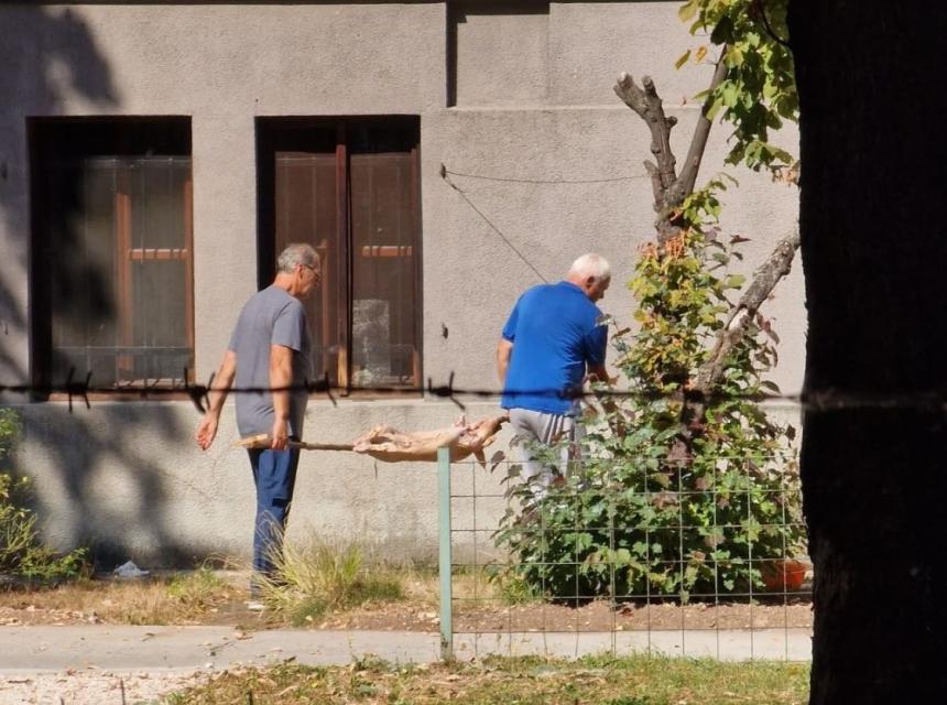 Foto citatelj