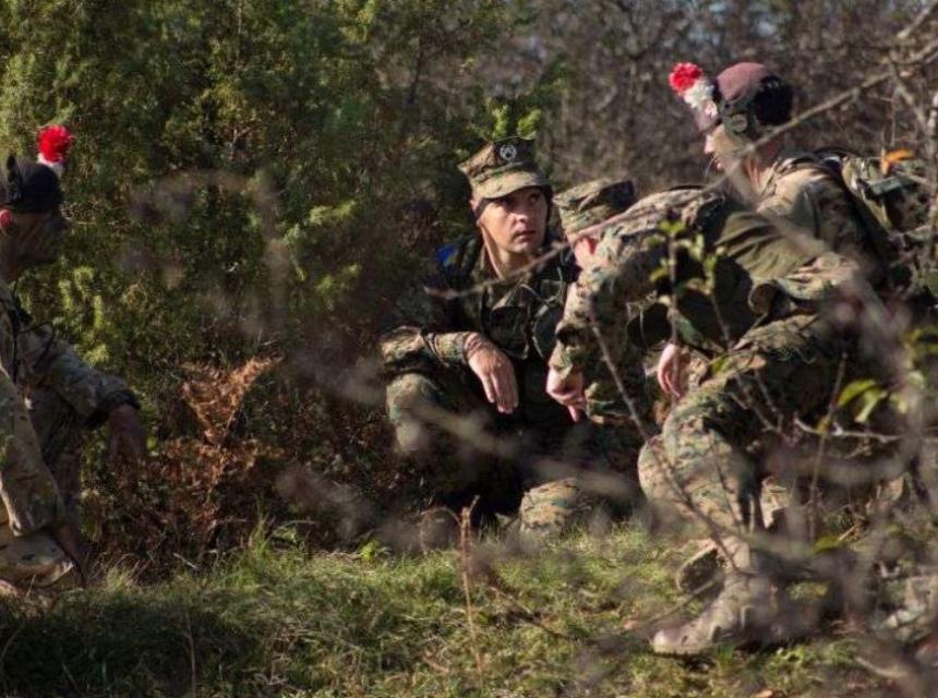 Oružane snage BiH i EUFOR provest će vojnu vježbu u regijama Bihaća i Manjače